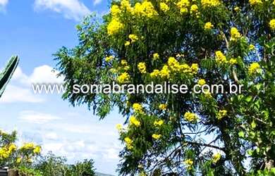 Imagem 2: TERRENO NA LAGOA DA CONCEIÇÃO!