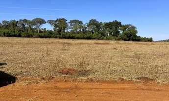 Imagem 4: Chácaras em Nova Veneza: 1.000m2 a partir de R$29...000,00 à vista