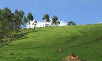 Imagem: Terreno para venda tem 2500m² em Salesópolis