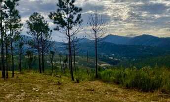 Imagem 6: VENDA-SE TERRENO EM MAIRIPORÃ