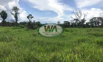 Imagem 4: Fazenda com grande potencial de apascentamento de gado