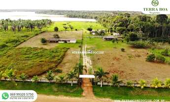 Imagem 5: CHÁCARA 06 HECTARES PORTO VELHO/RONDÔNIA