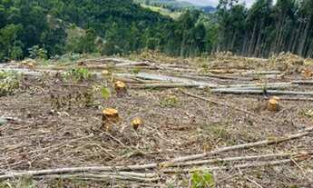 Imagem 6: D7- A qui não tem burocracia, garanta já seu lote