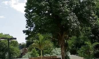 Imagem 4: Espetacular cobertura na Araguaia