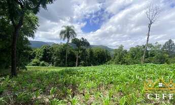 Imagem 2: Sítio / Chácara para Venda em Três Coroas, Moreira