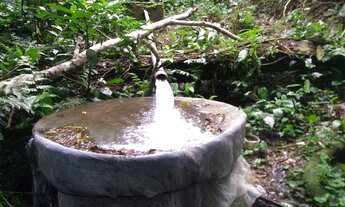 Imagem 6: Terrenos ótimos para formar chacaras