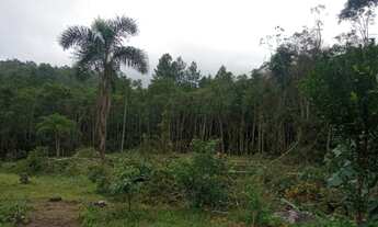 Imagem 4: Terrenos ótimos para formar chacaras