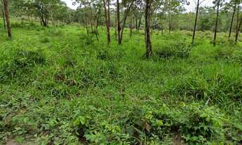 Imagem 4: FAZENDINHAS RURAIS em Fortuna de Minas