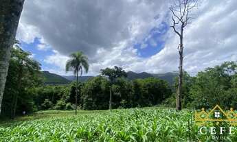 Imagem 7: Sítio / Chácara para Venda em Três Coroas, Moreira