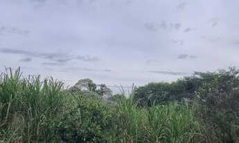 Imagem 3: Chácara à venda, Indústrias Leves, Londrina, PR