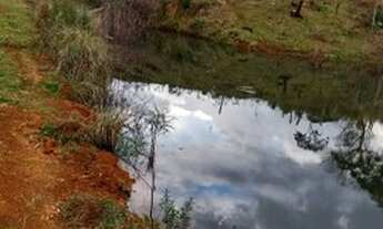 Imagem 2: SITIO Chácara com venda por R$1