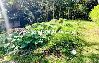 Imagem 6: TERRENO NA LAGOA DA CONCEIÇÃO!