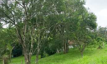 Imagem 6: Lotes com excelente topografia