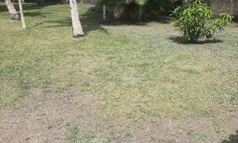 Imagem 2: Vende-se chácara no km 12 br 174