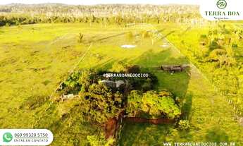 Imagem 6: SÍTIO 35 ALQUEIRES TODO ABERTO JACI PARANÁ/RO