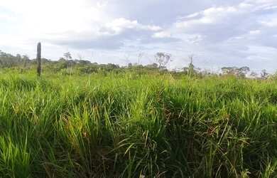Imagem 6: Terras no Amazonas
