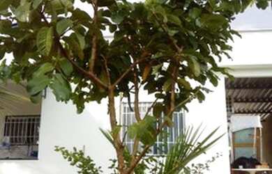 Imagem 4: Venha conhecer e adquira este confortável imóvel!!