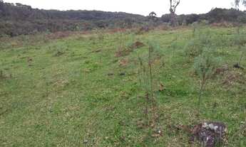 Imagem 4: SITIO Chácara com venda por R$1