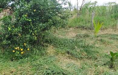 Imagem 7: Terreno 80x50 São Lourenço da Mata