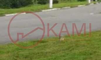 Imagem 3: Venda, Terreno em condomínio, Santana de Parnaíba