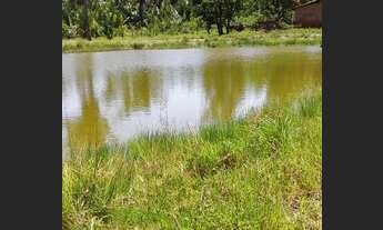 Imagem 3: Propriedade em Nina Rodrigues-MA 50 hectares