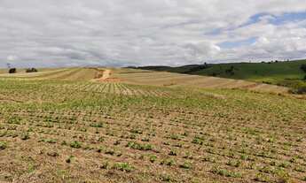 Imagem 7: Fazenda em itapeva s.p 213 alqueires 32.000.000.00 ( vice