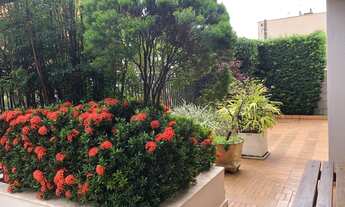 Imagem 7: Apartamento pra locação no centro de Marilia