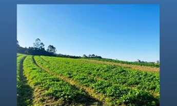 Imagem 7: Venha Conhecer Nosso Empreendimento de Ibiúna Estamos com Lotes