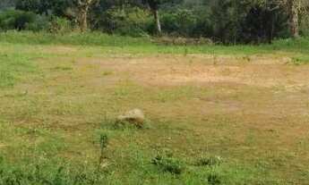 Imagem 7: Sitio com 32.000m² porteira fechada