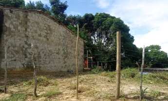 Imagem 6: Terreno em cabucu