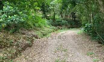 Imagem 6: Sítio na Linha Temerária em Nova Petrópolis!