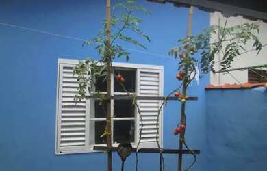 Imagem 5: Casa Térrea Jerusalém Próximo ao Carrefour Demarchi