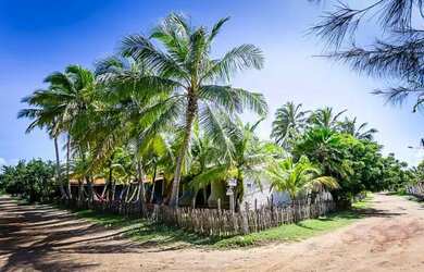 Imagem 3: Pousada Charmosa