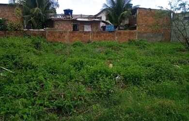 Imagem 4: Lote 10X20 (Loteamento Nova Guararapes