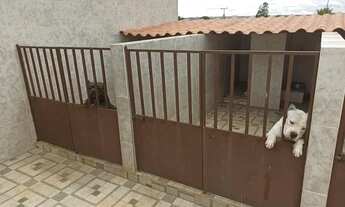 Imagem 5: Vendo chácara no incra 6 formada 38.000m2