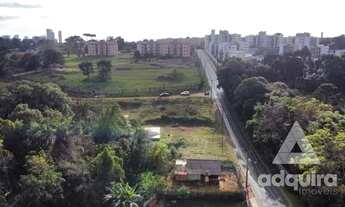 Imagem 4: Terreno em rua - Bairro Colônia Dona Luíza em Ponta Grossa