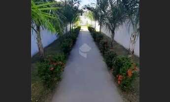 Imagem 4: Vendo Apartamento Térreo