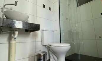 Imagem 5: Vista das Embaúbas