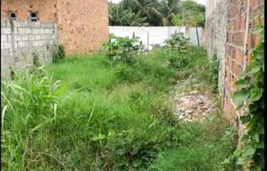 Imagem 5: Terreno no santo Antônio dos prazeres próximo ao Corujão do sim