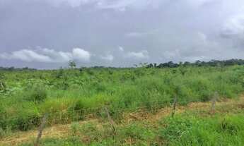 Imagem 6: Vende-se Fazenda São Pedro, 1107 ha - Documentação Atualizada