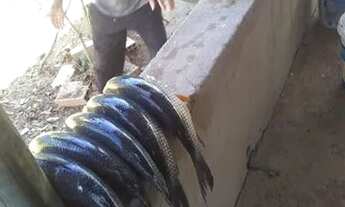 Imagem 5: Locação de Rancho em Três Maria na Beira do rio São Francisco