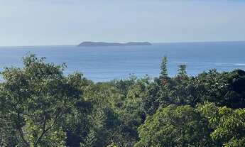 Imagem 2: Excelente terreno à venda na Praia da Gamboa, em Garopaba