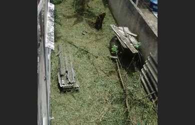 Imagem 6: Casa na praia Casa com 4 dormitórios