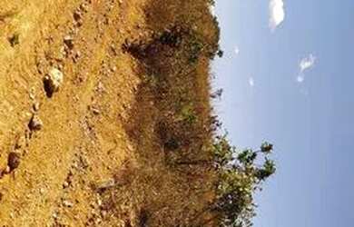 Imagem 4: Lote Lagoa Santa Serra do Cipó