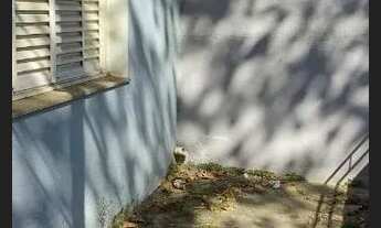 Imagem 2: Casa a venda no Jaguaré