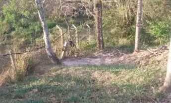 Imagem: Pra vender urgente terreno em Nazaré pta
