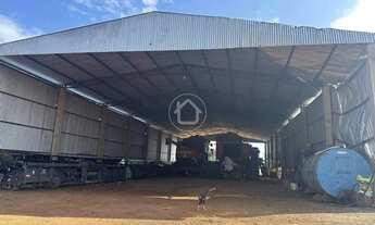 Imagem 3: FAZENDA COM 960 HECTARES, 551 PLANTACAO DE SOJA