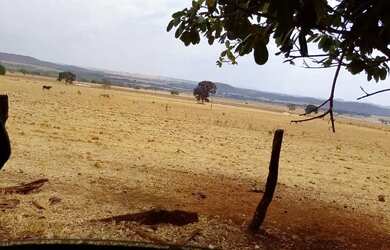 Imagem 6: Fazenda a venda, em Barro Alto / Goiàs