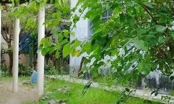 Imagem 2: Casa 3 quartos em Centro