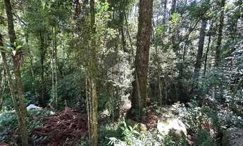 Imagem 3: Terreno a Venda em Canela